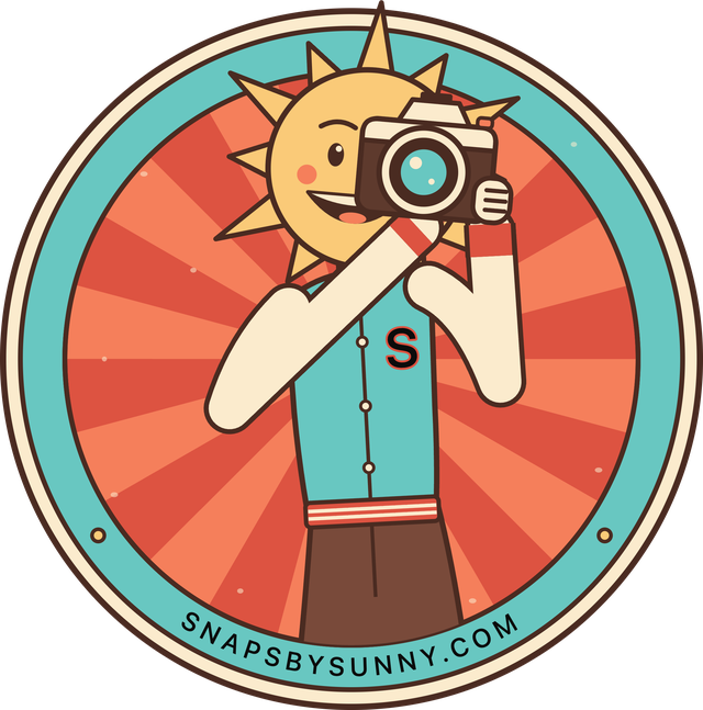 Snaps by Sunny sticker: a smiling sun holding a camera